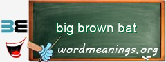 WordMeaning blackboard for big brown bat